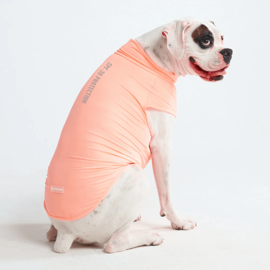 Sunblock Dog T-Shirts - Image 17