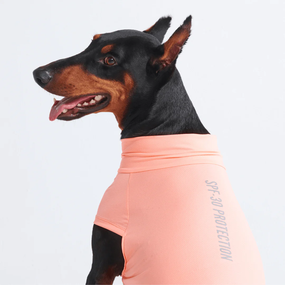Sunblock Dog T-Shirts - Image 18