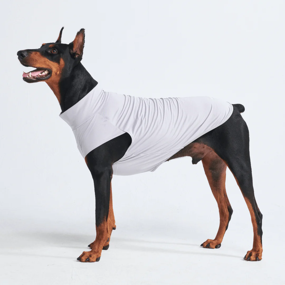 Sunblock Dog T-Shirts - Image 21
