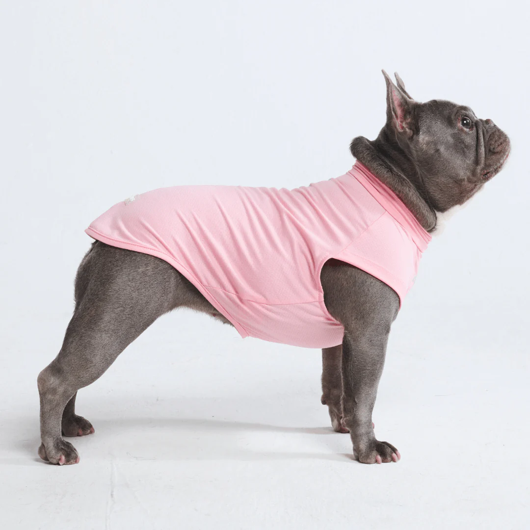 Sunblock Dog T-Shirts - Image 25
