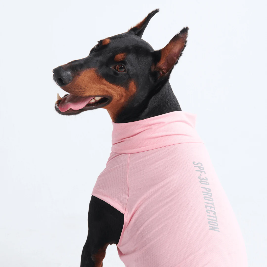 Sunblock Dog T-Shirts - Image 26