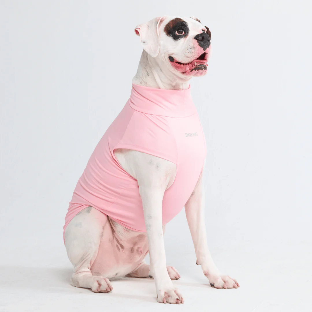 Sunblock Dog T-Shirts - Image 27