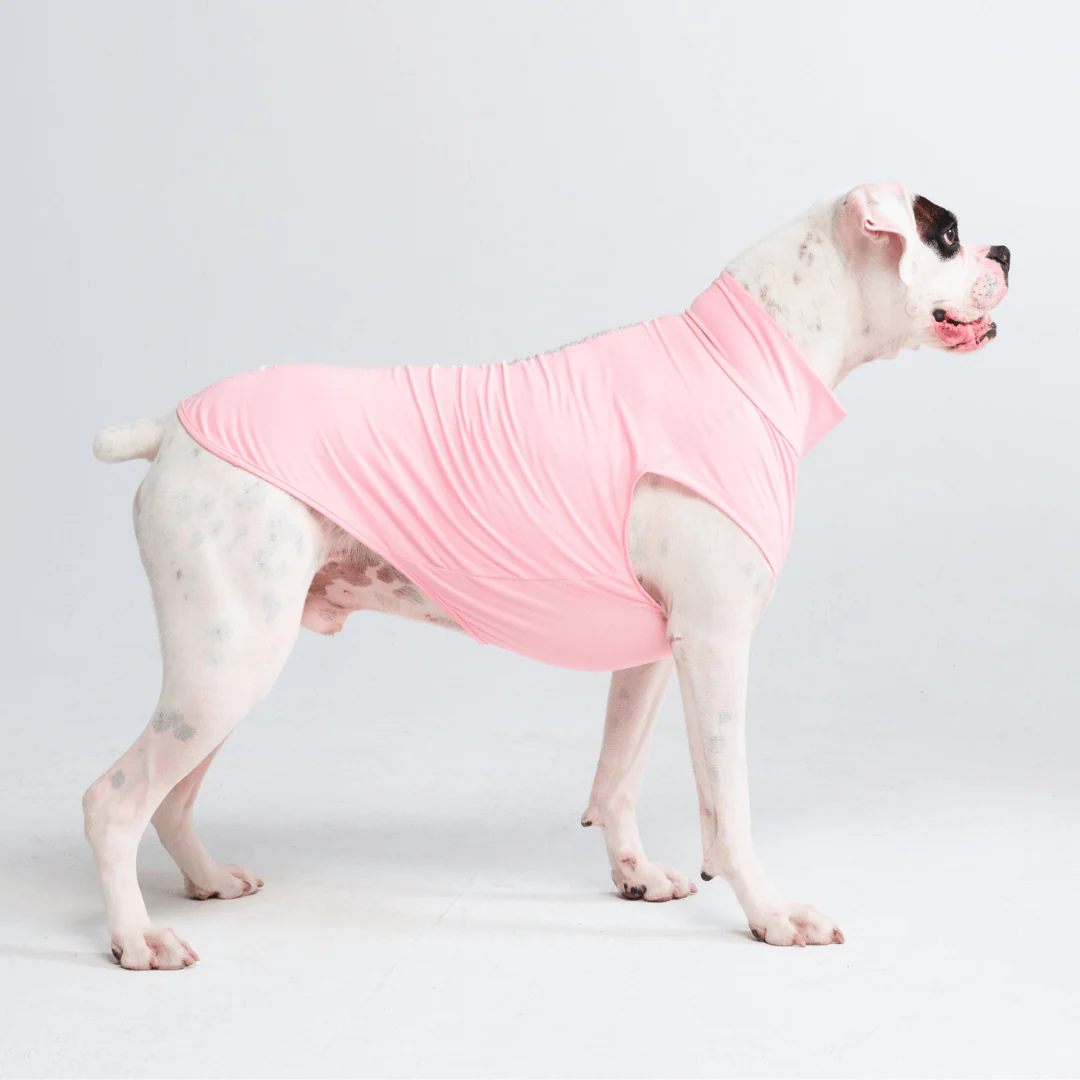 Sunblock Dog T-Shirts - Image 29