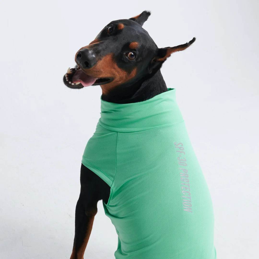Sunblock Dog T-Shirts - Image 3
