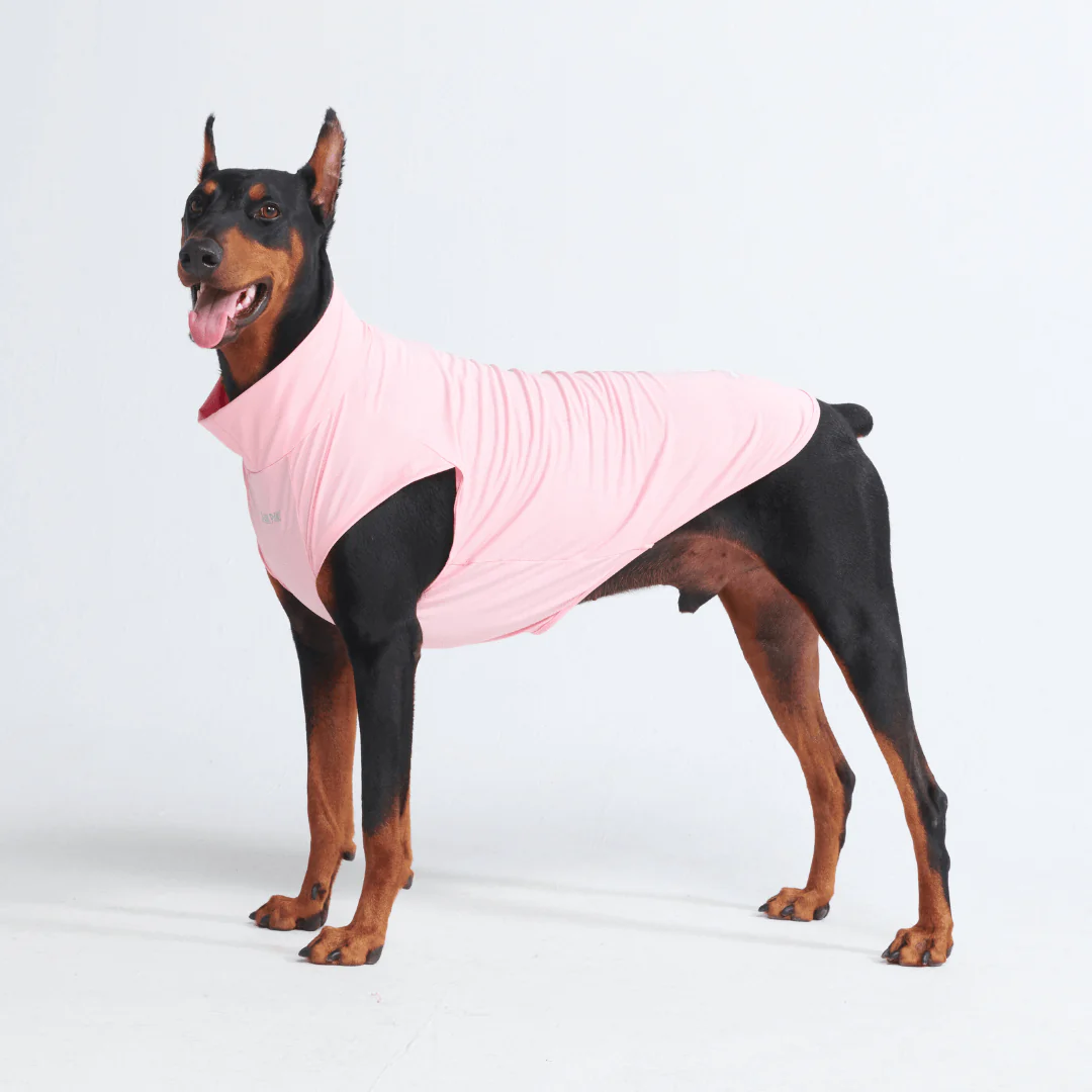 Sunblock Dog T-Shirts - Image 30