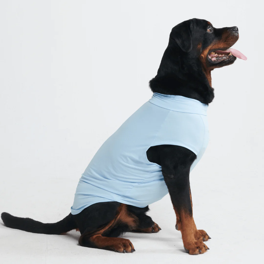 Sunblock Dog T-Shirts - Image 31