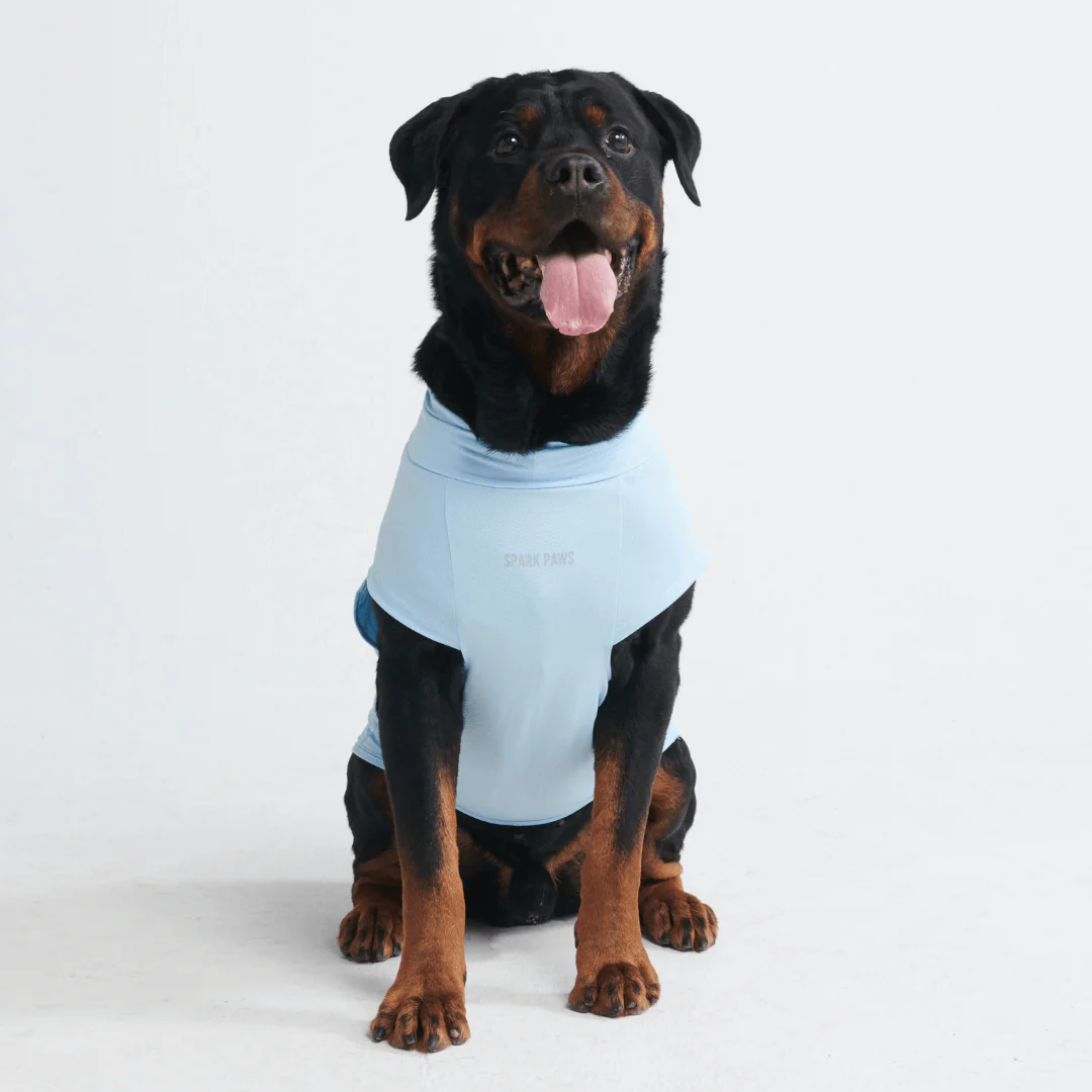 Sunblock Dog T-Shirts - Image 32