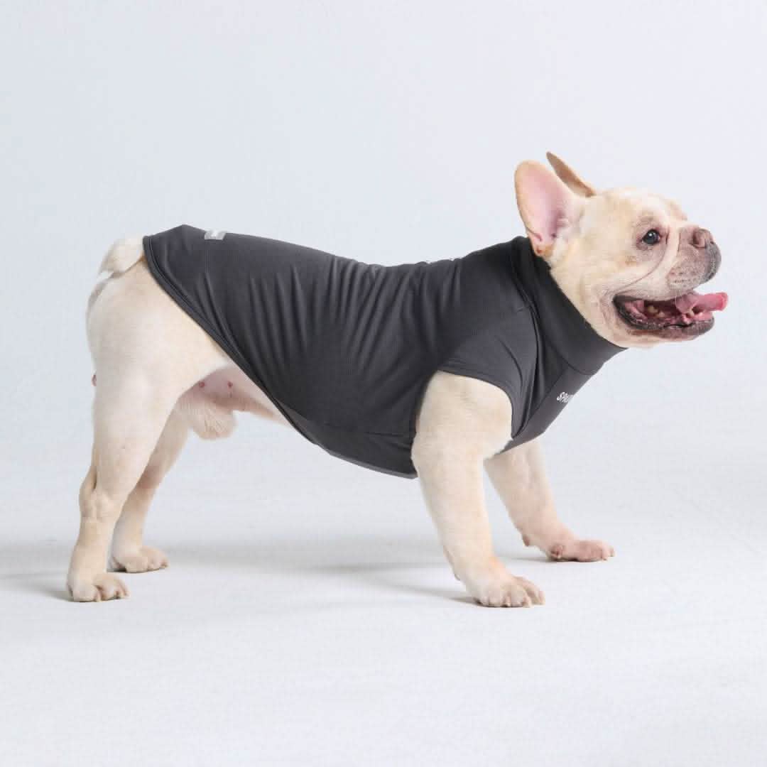 Sunblock Dog T-Shirts - Image 38