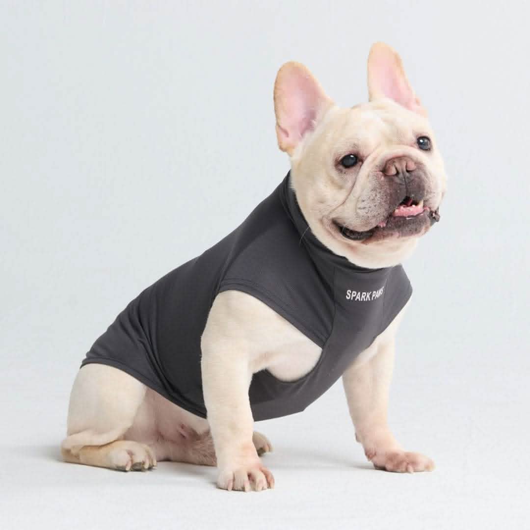 Sunblock Dog T-Shirts - Image 39