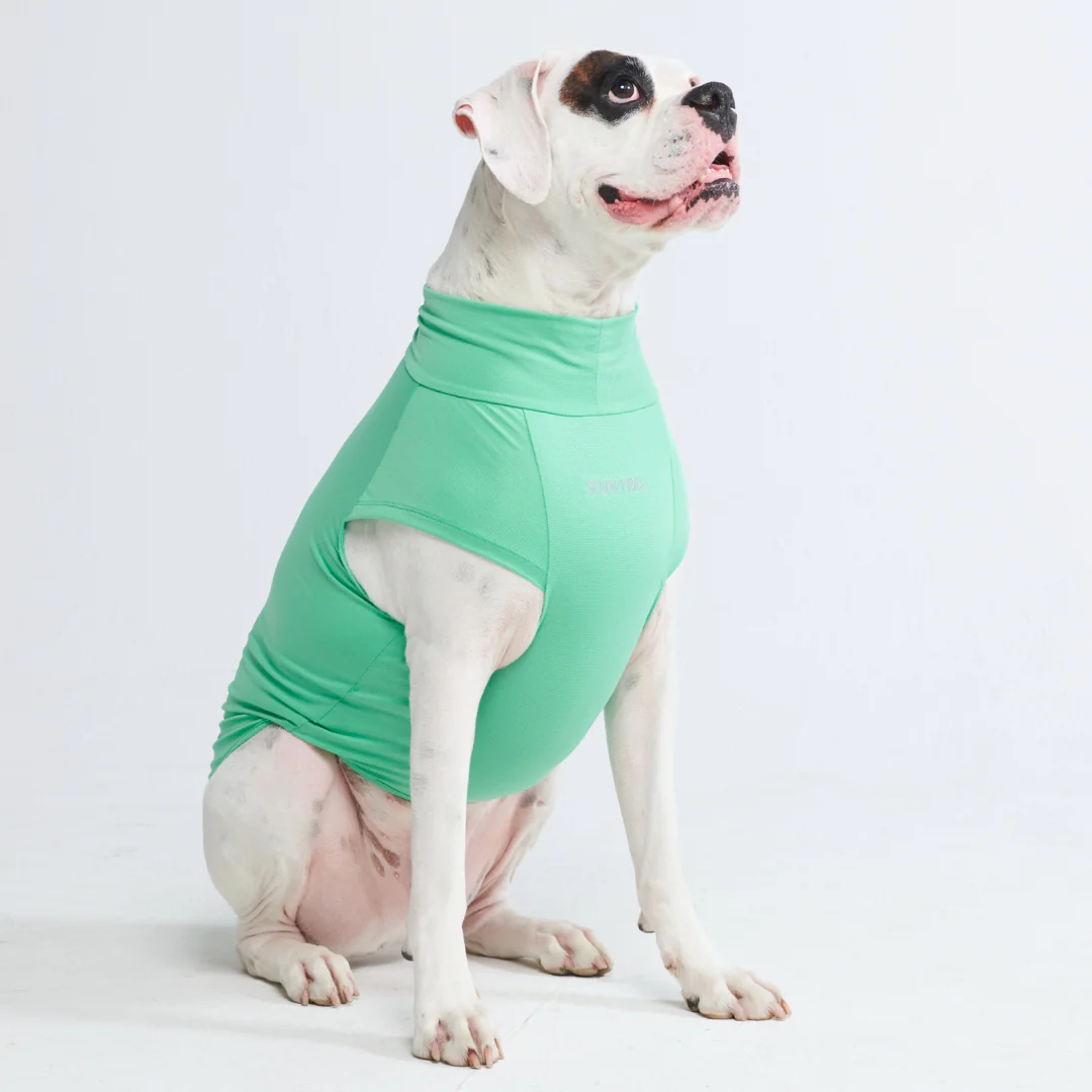 Sunblock Dog T-Shirts - Image 5