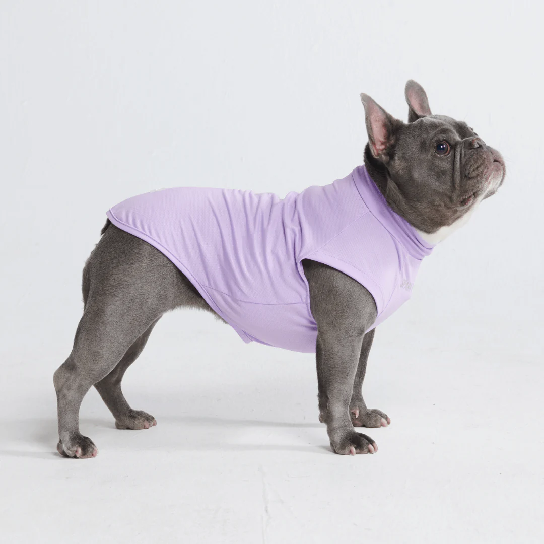 Sunblock Dog T-Shirts - Image 7