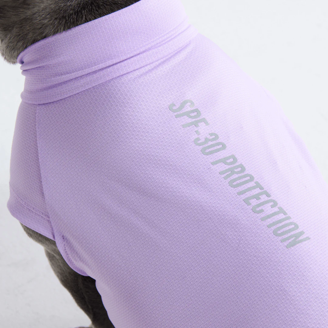Sunblock Dog T-Shirts - Image 8
