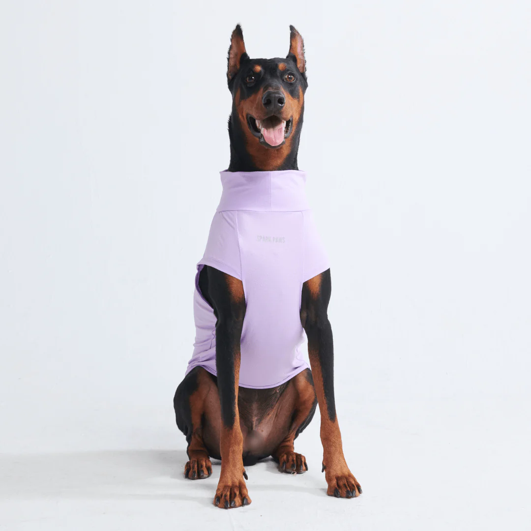 Sunblock Dog T-Shirts - Image 9