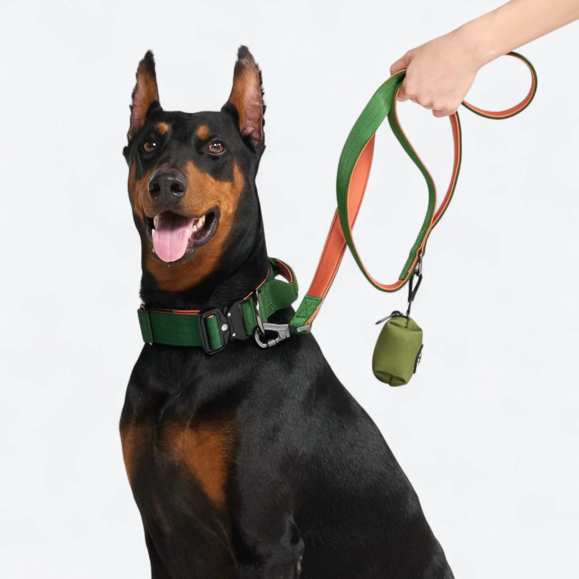 Comfort Control Dog Collar Sets - Image 103