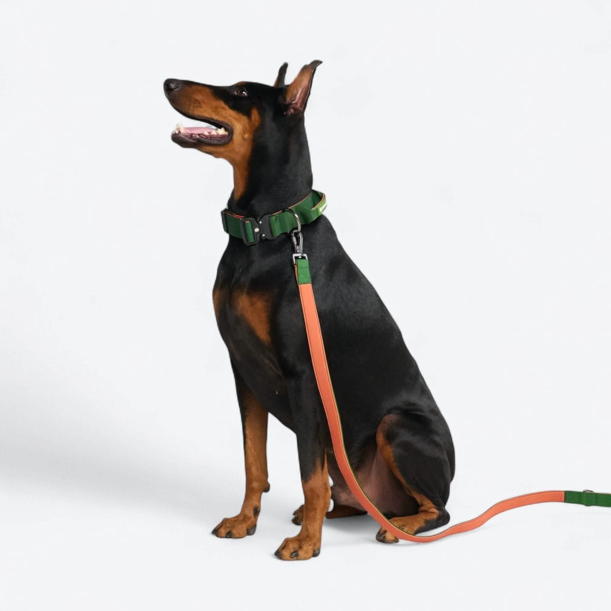 Comfort Control Dog Collar Sets - Image 106