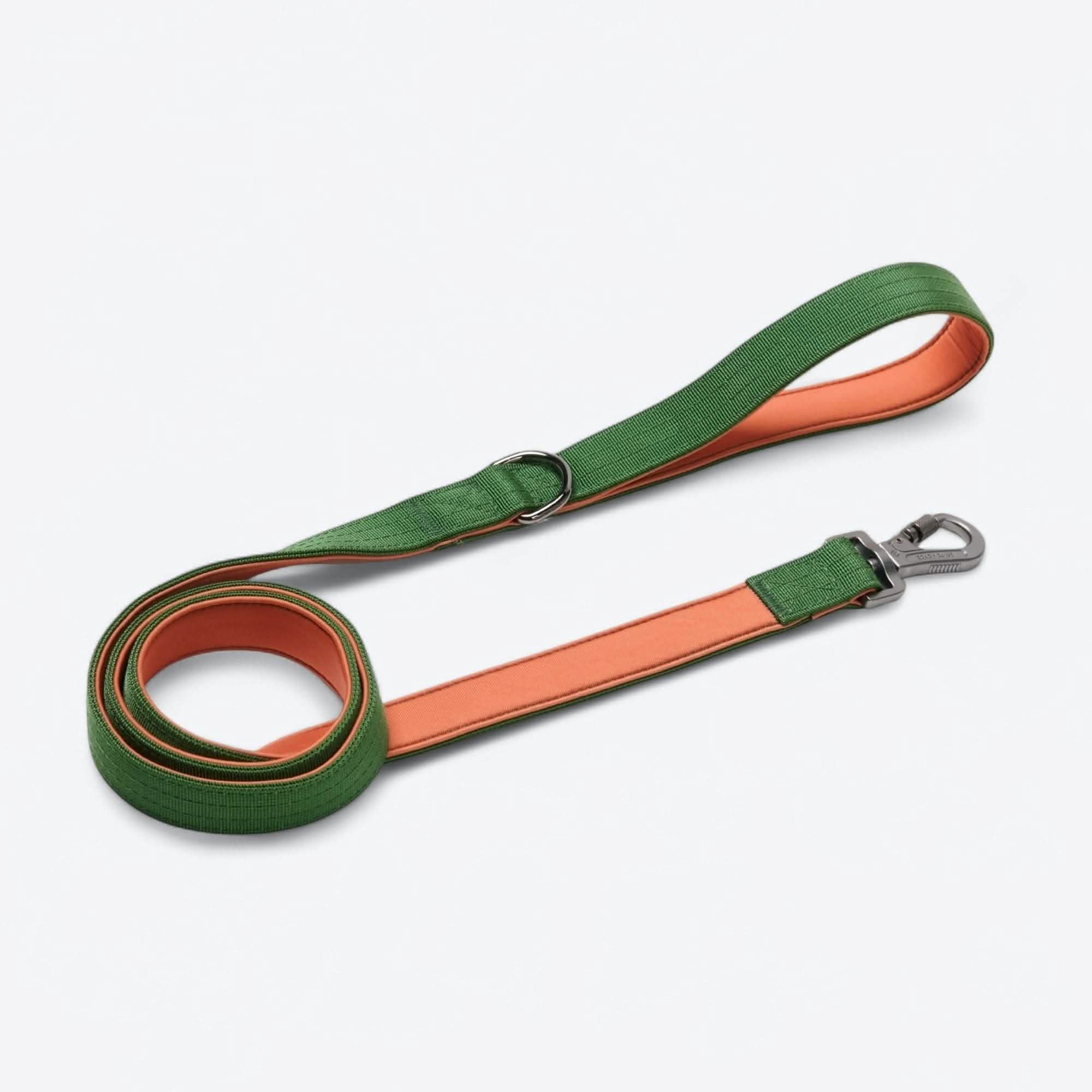 Comfort Control Dog Collar Sets - Image 107