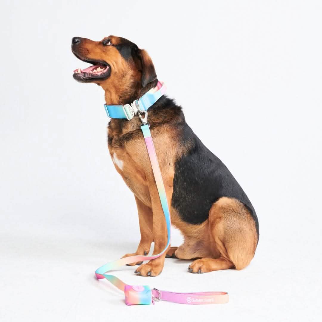 Comfort Control Dog Collar Sets - Image 14