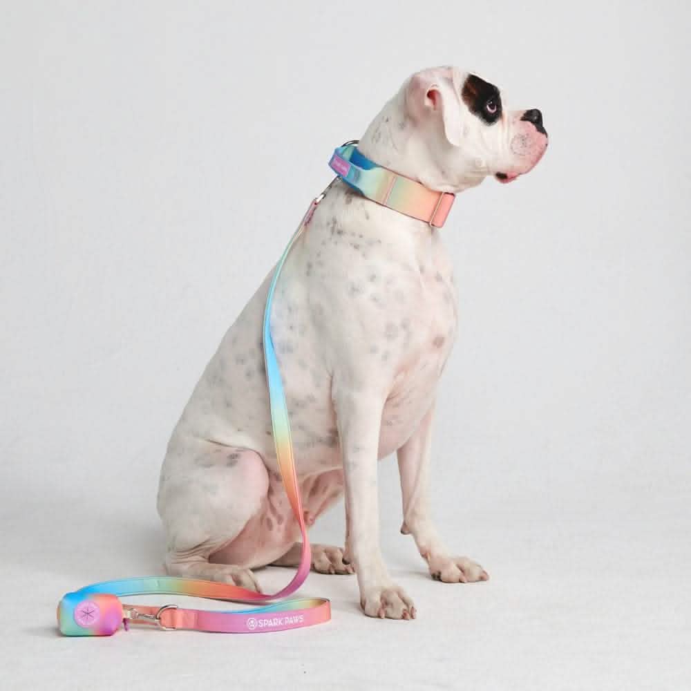 Comfort Control Dog Collar Sets - Image 16