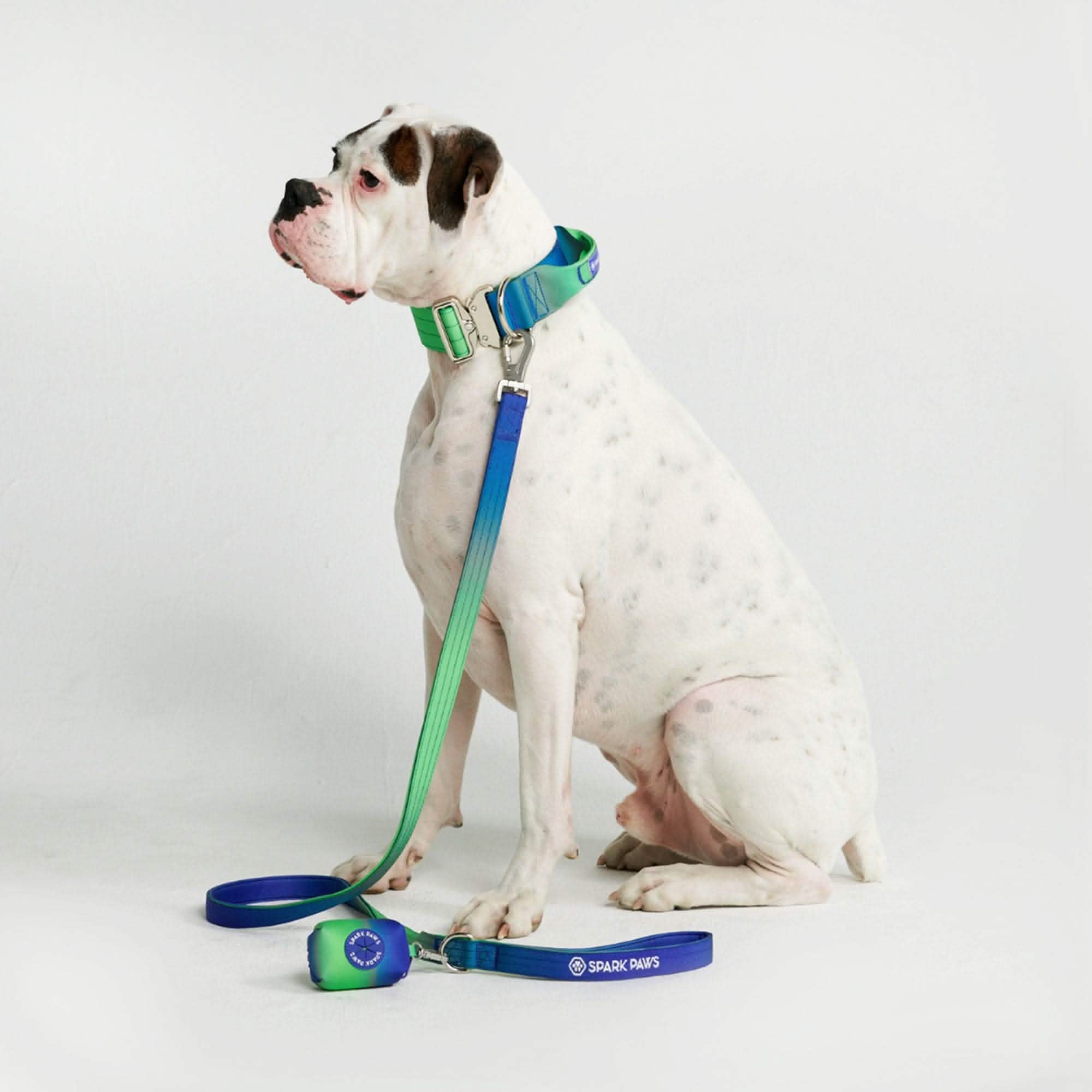 Comfort Control Dog Collar Sets - Image 27