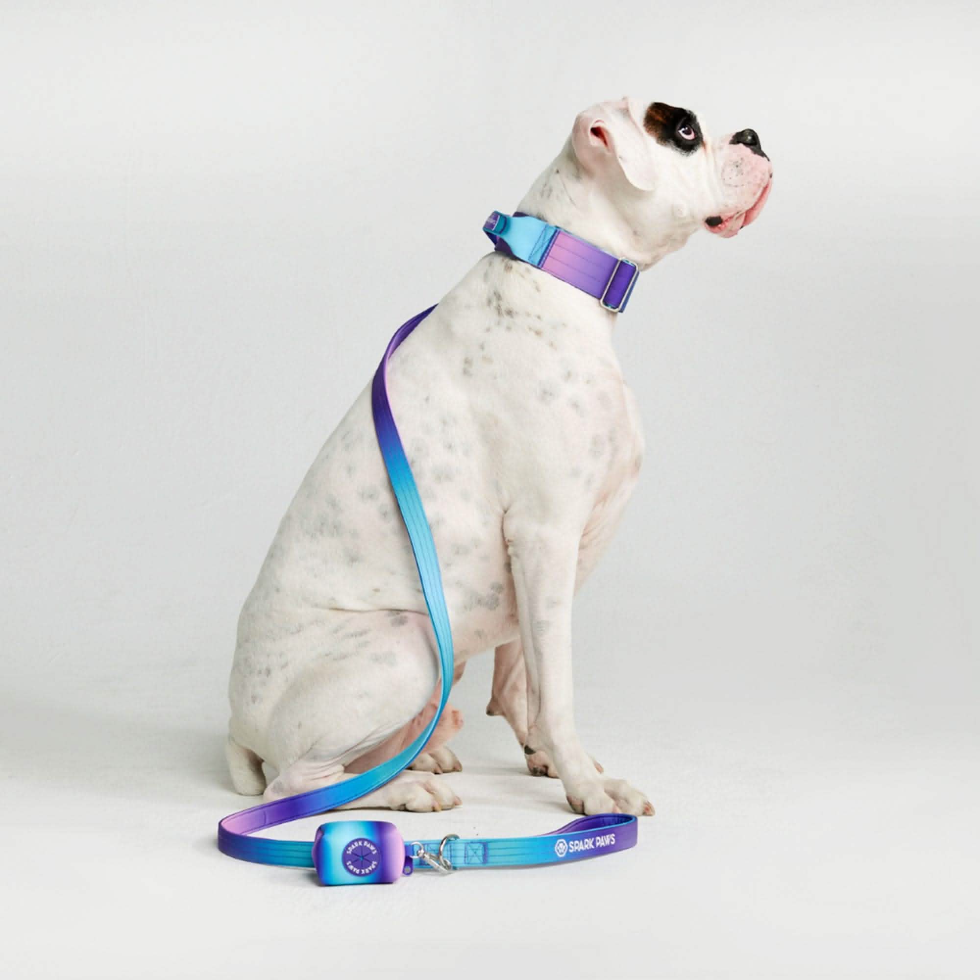Comfort Control Dog Collar Sets - Image 3