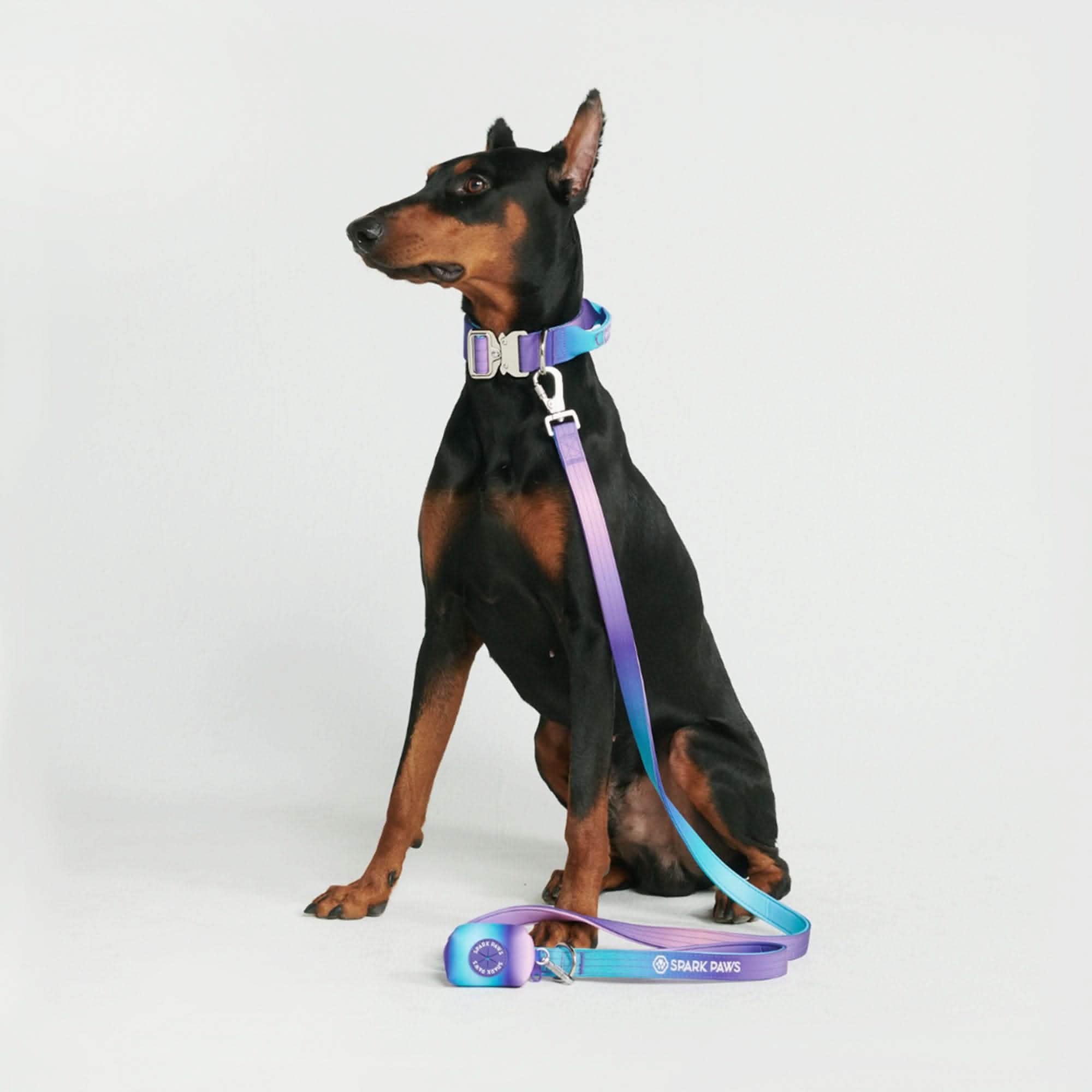 Comfort Control Dog Collar Sets - Image 4