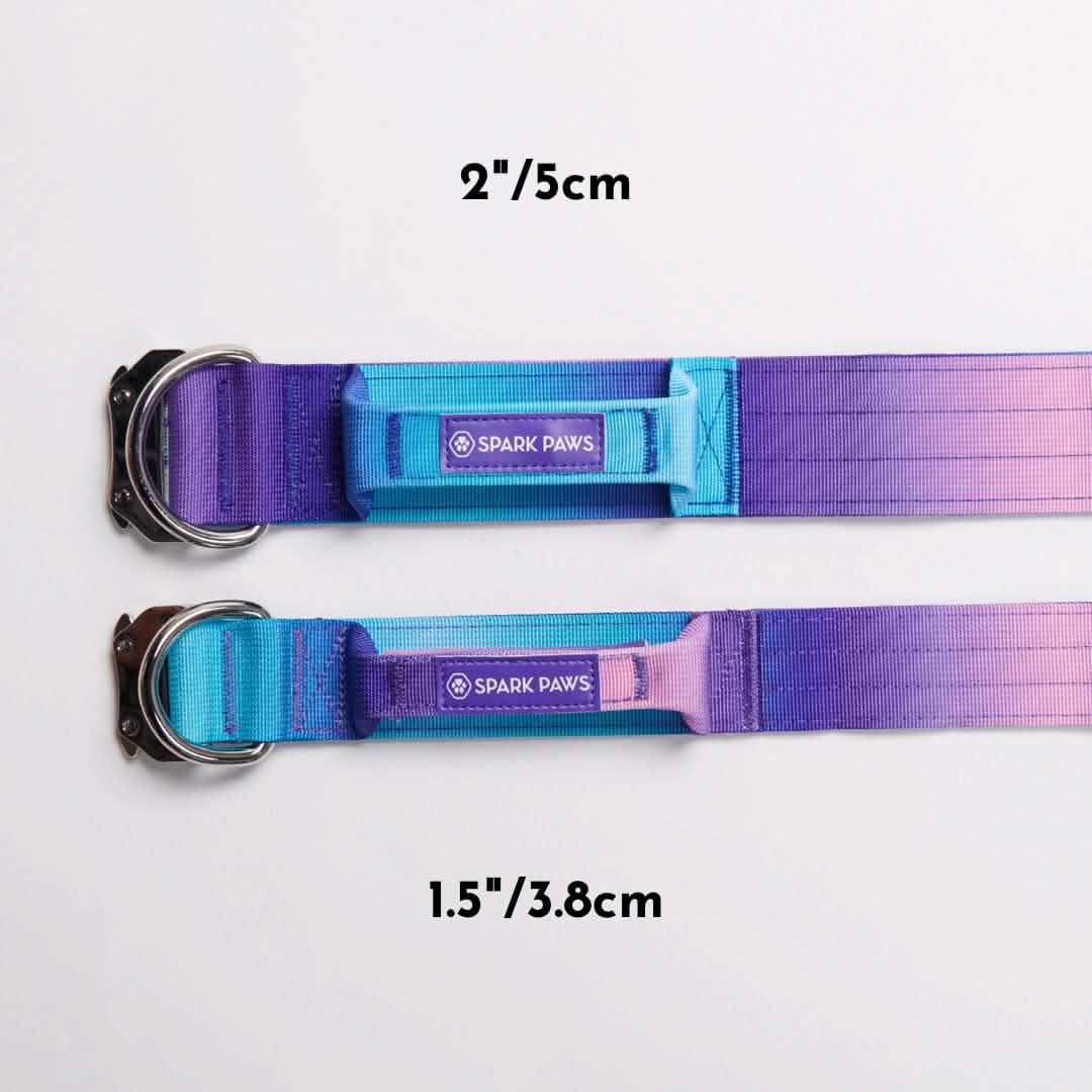 Comfort Control Dog Collar Sets - Image 5