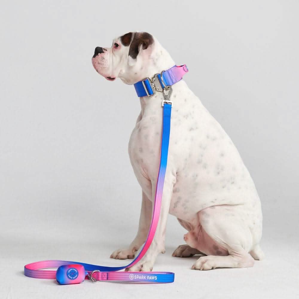 Comfort Control Dog Collar Sets - Image 55