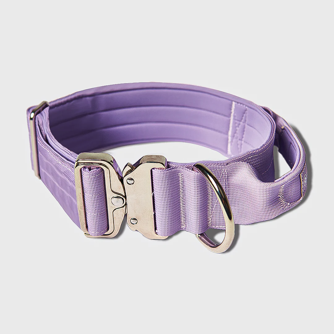 Comfort Control Dog Collar Sets - Image 68