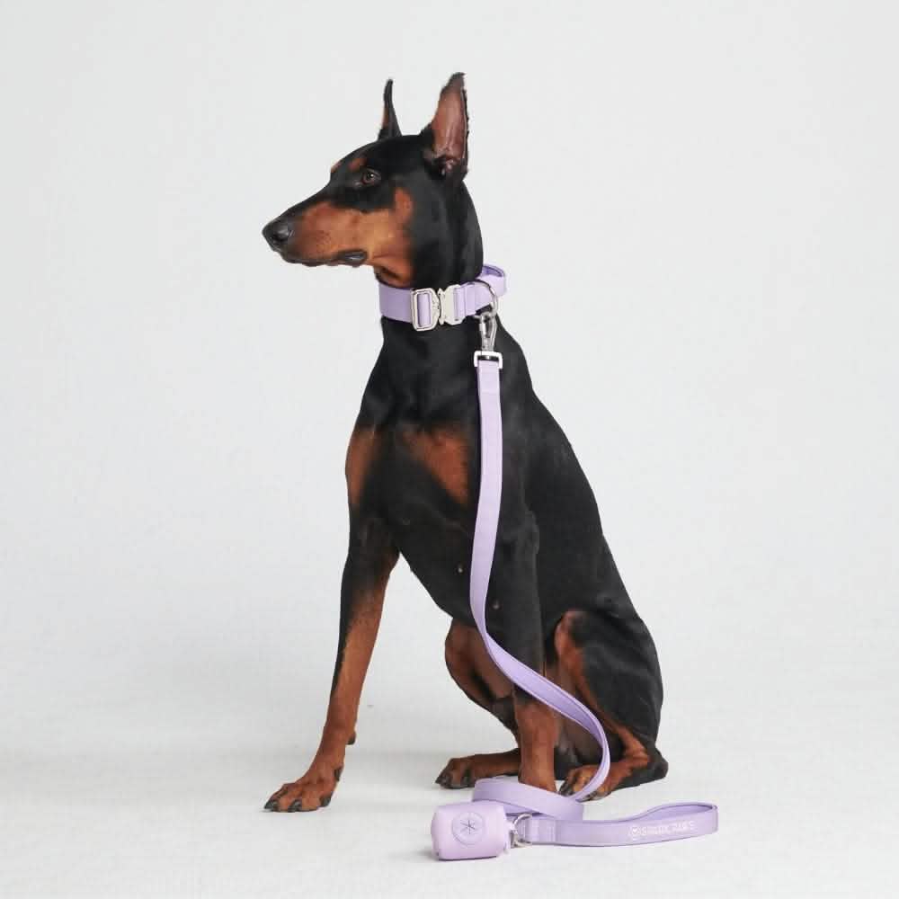 Comfort Control Dog Collar Sets - Image 70