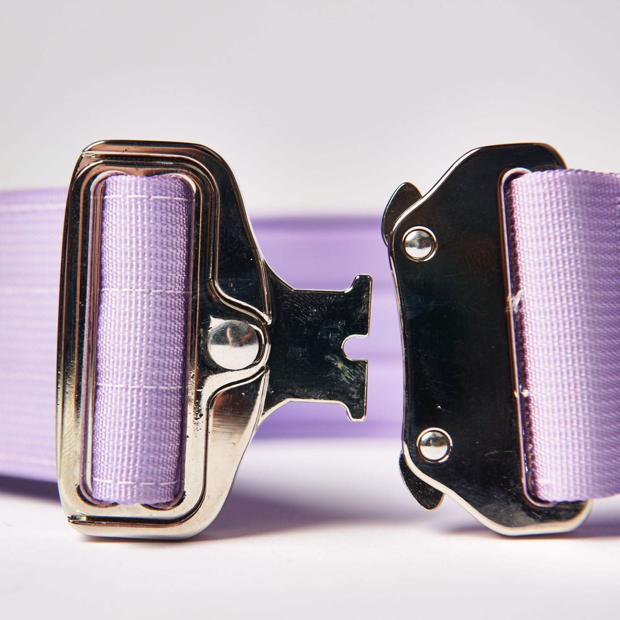 Comfort Control Dog Collar Sets - Image 74