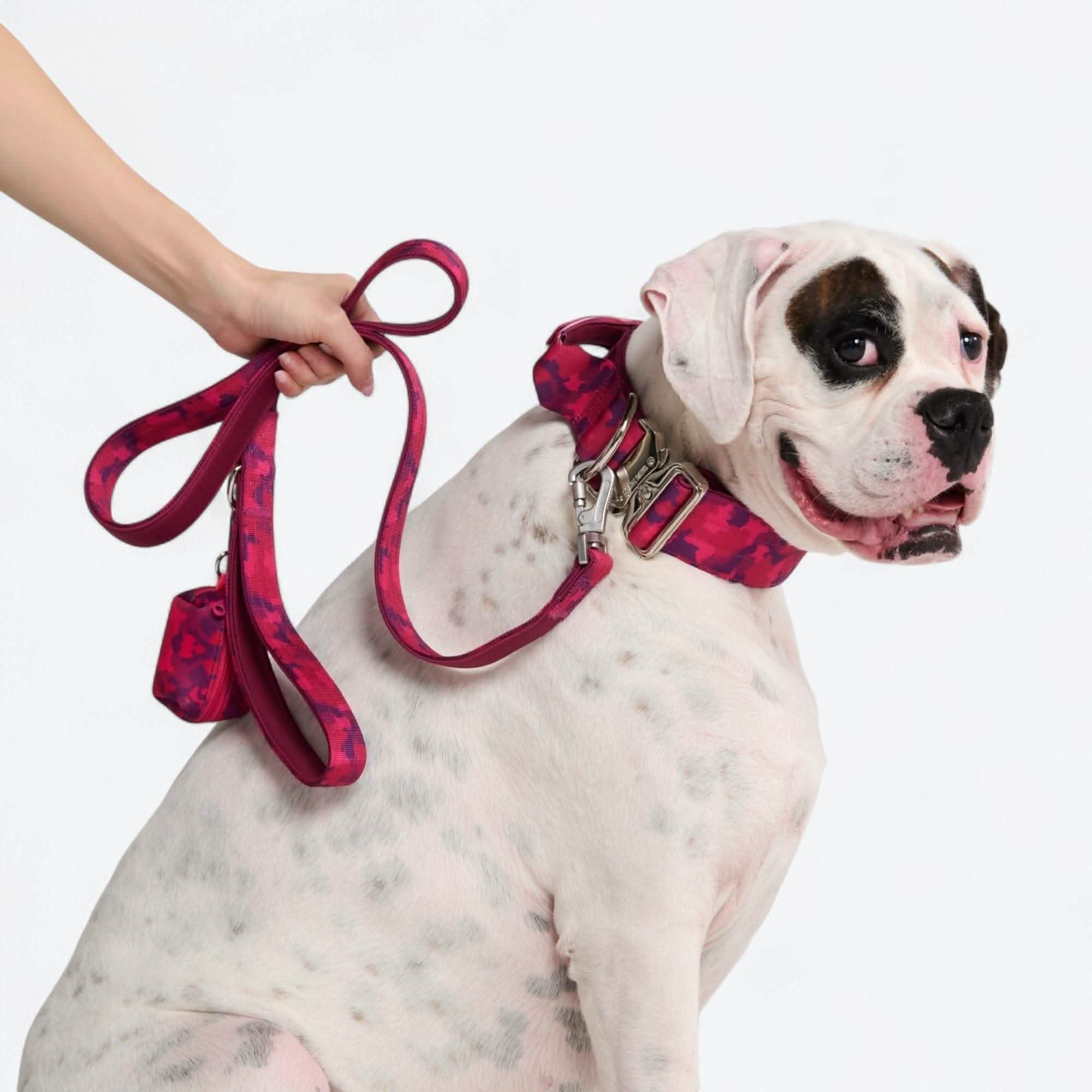 Comfort Control Dog Collar Sets - Image 84