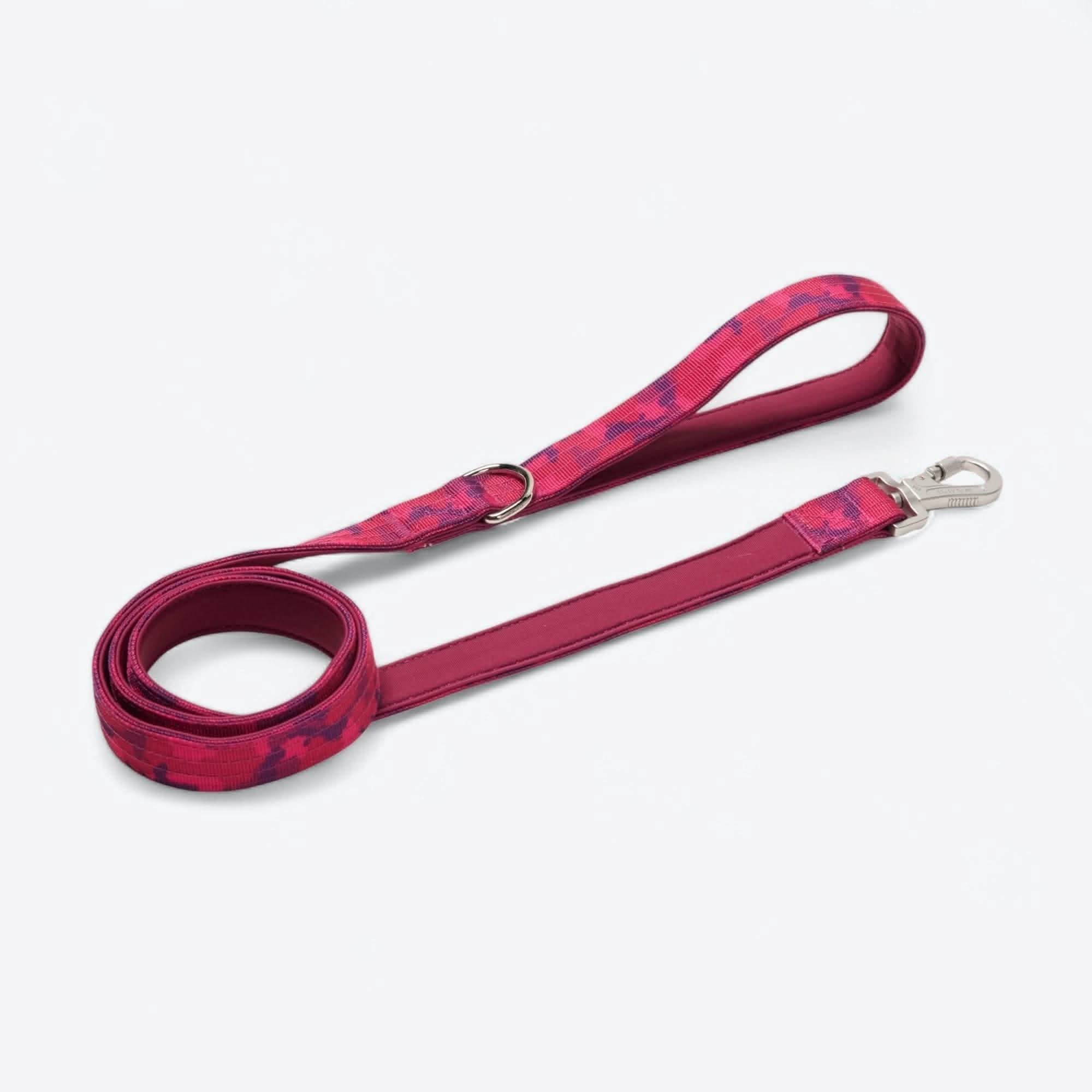 Comfort Control Dog Collar Sets - Image 86
