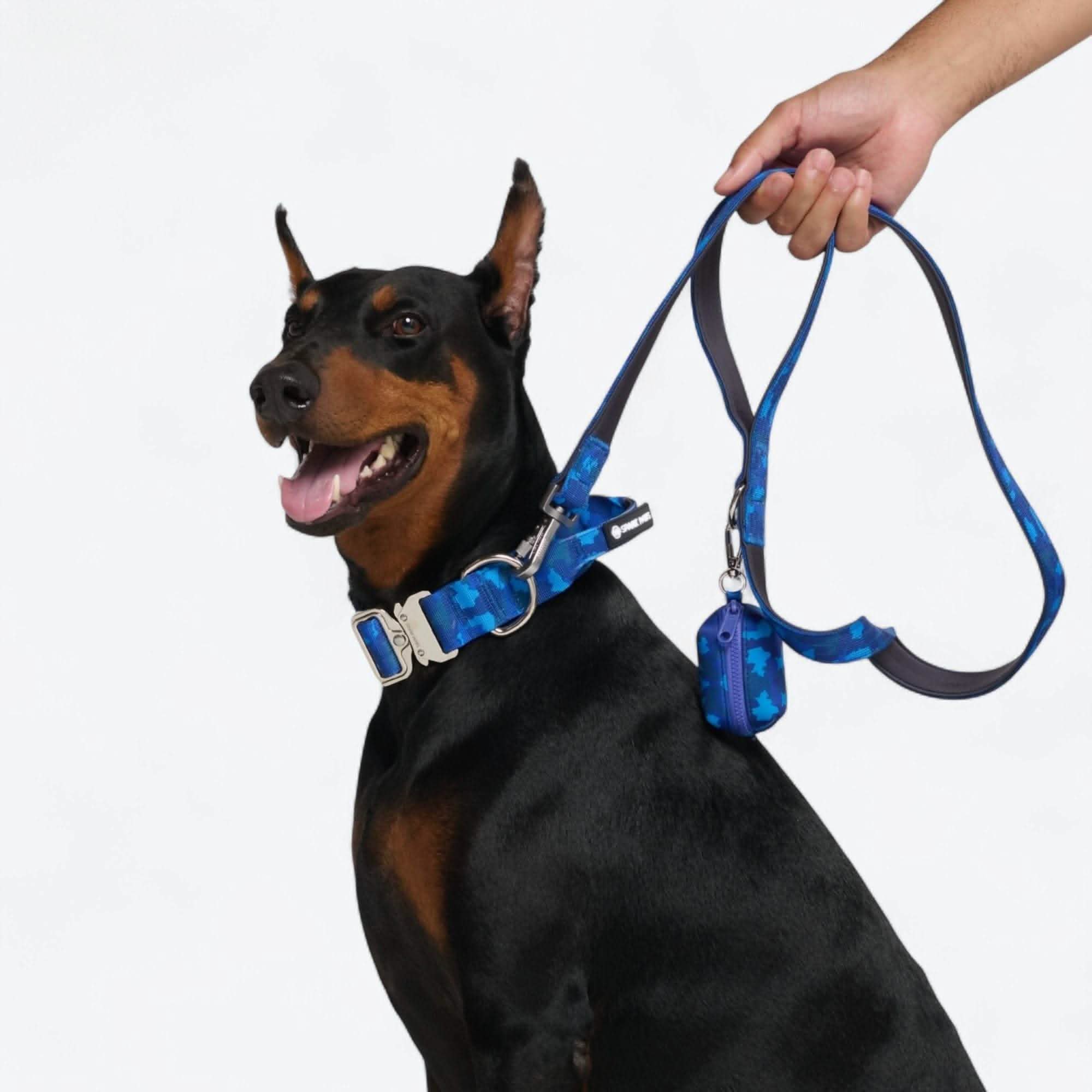 Comfort Control Dog Collar Sets - Image 97