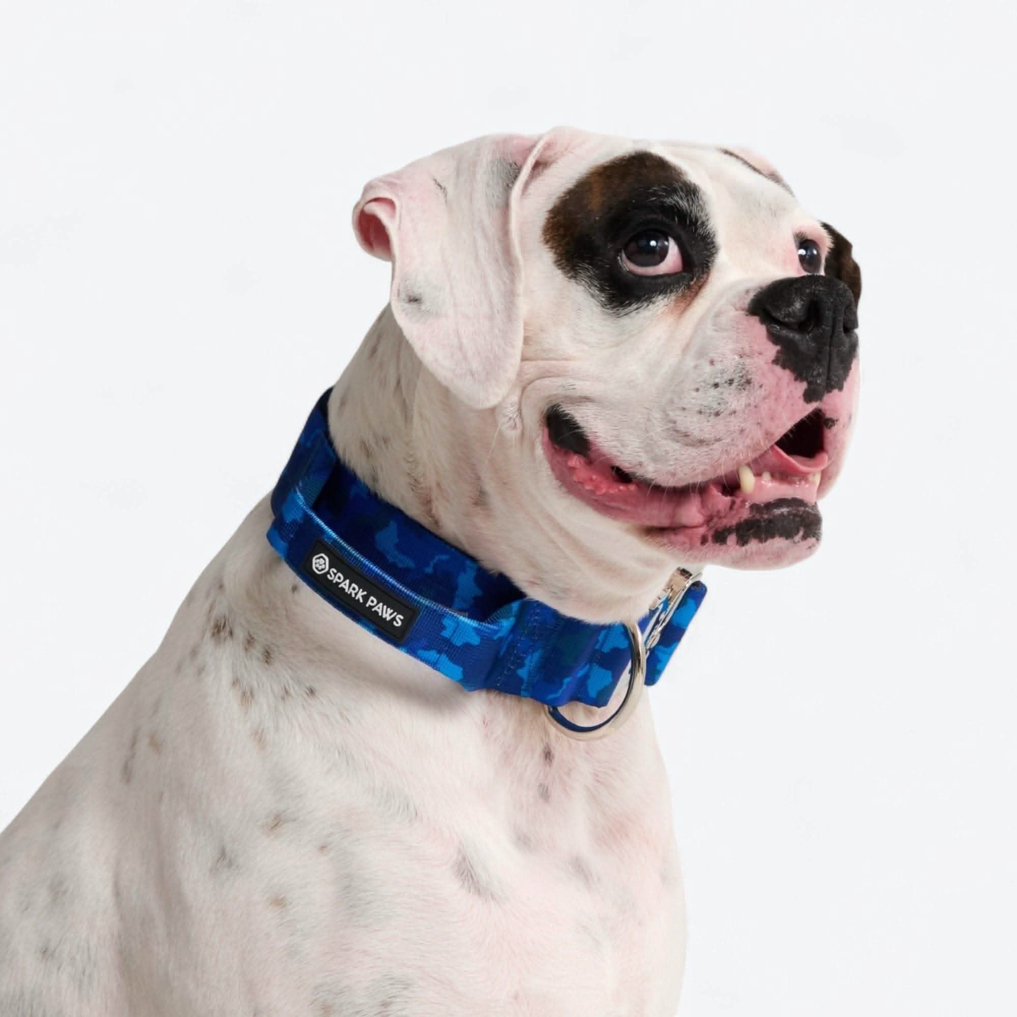 Comfort Control Dog Collar Sets - Image 99