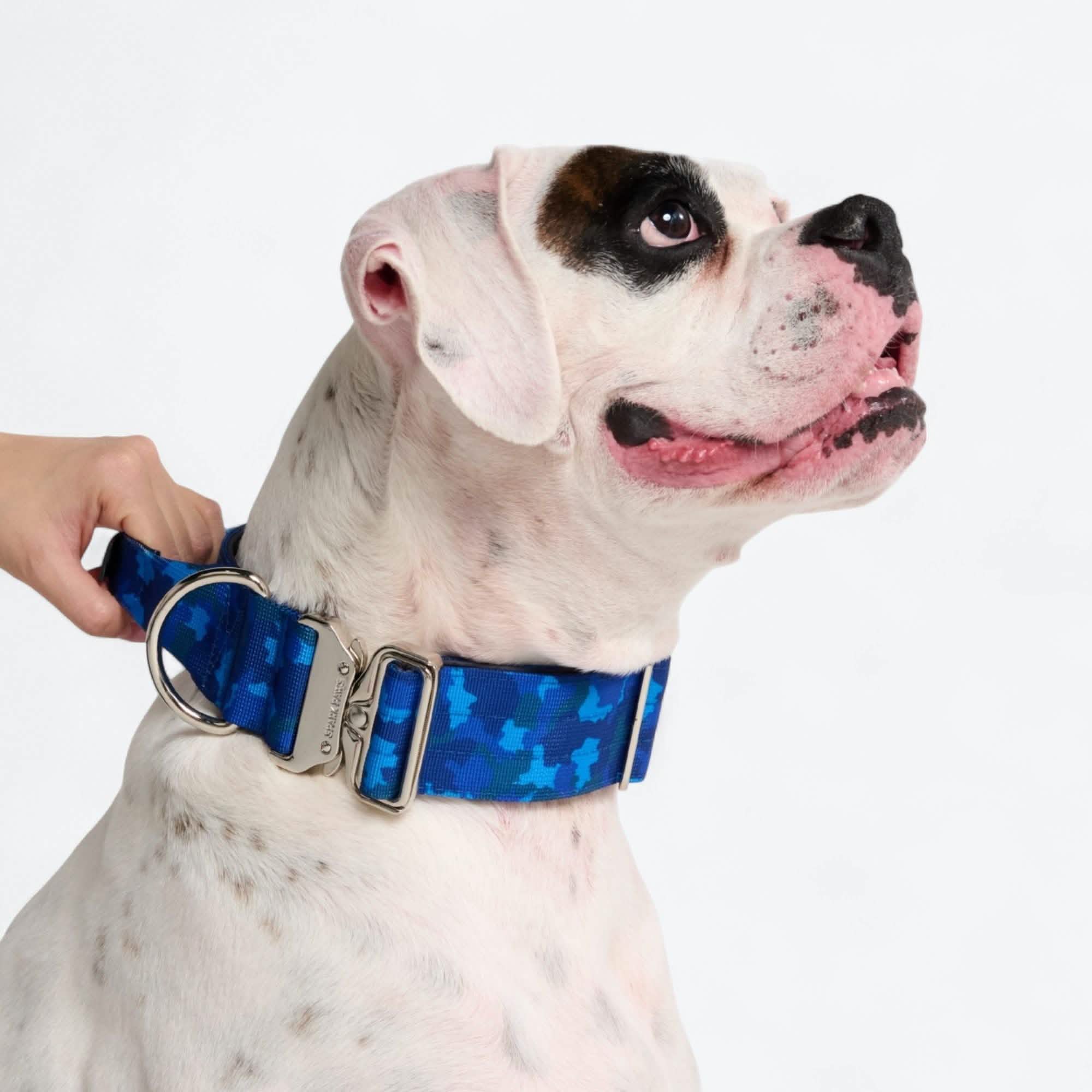 Comfort Control Collar Set - Blue Camo - Image 2
