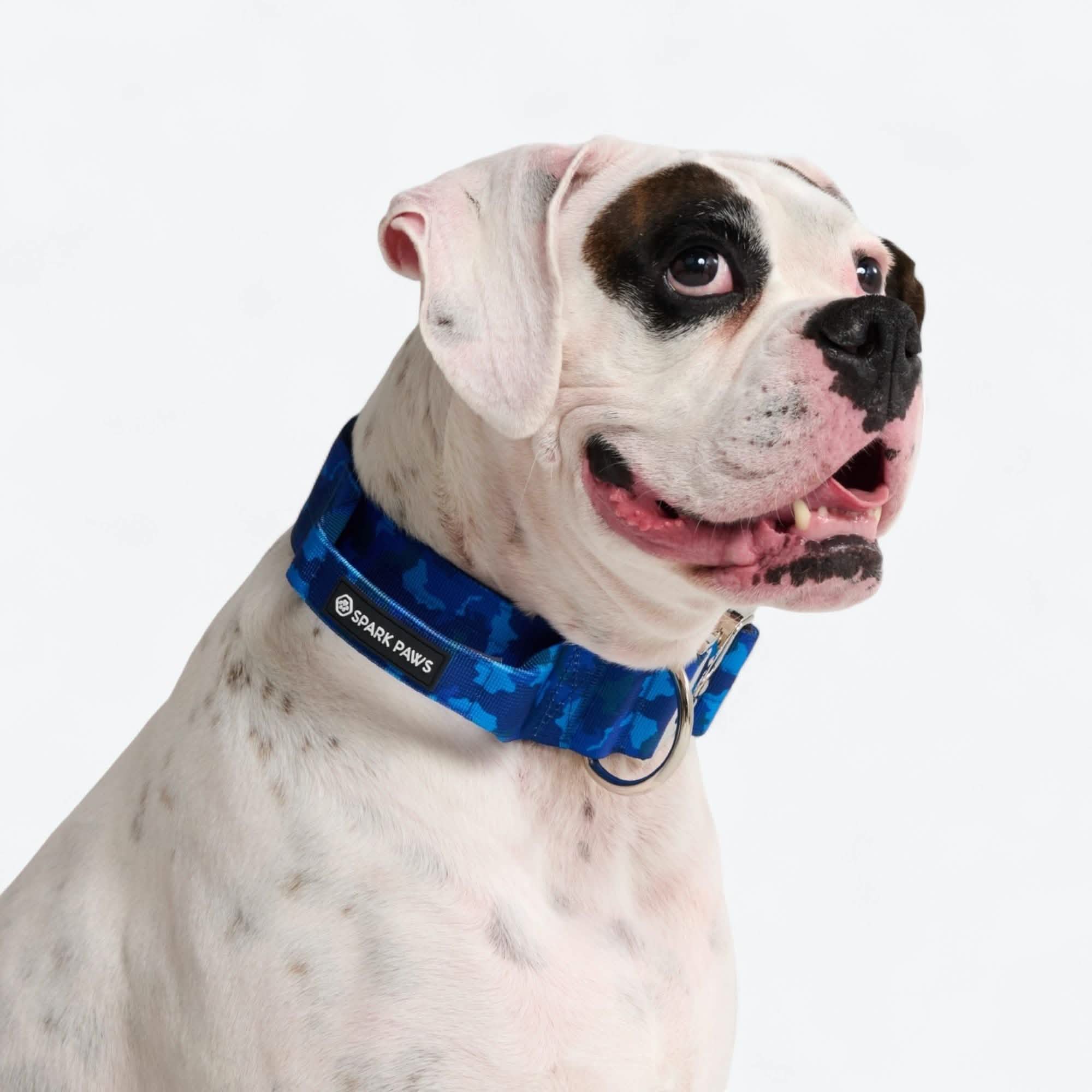 Comfort Control Collar Set - Blue Camo - Image 6