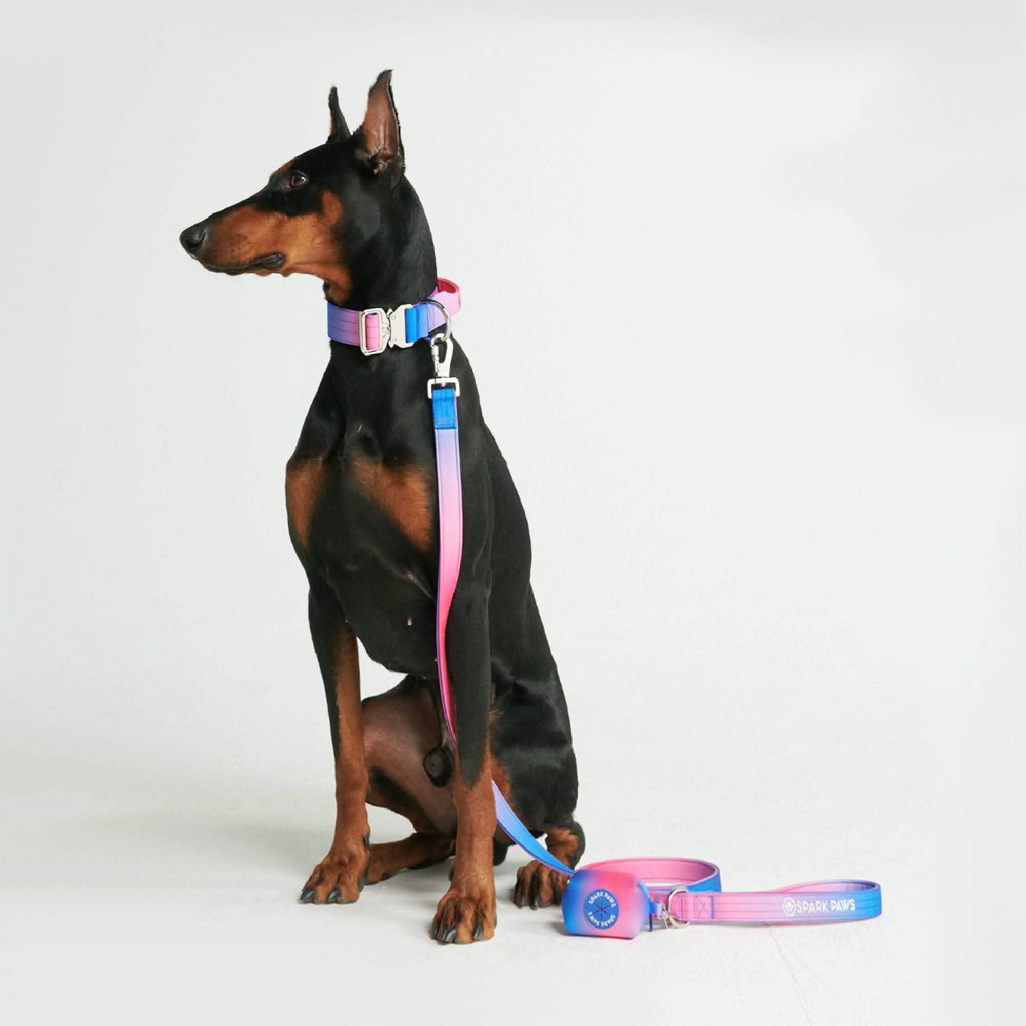 Comfort Control Collar Set - Snow Cone - Image 4
