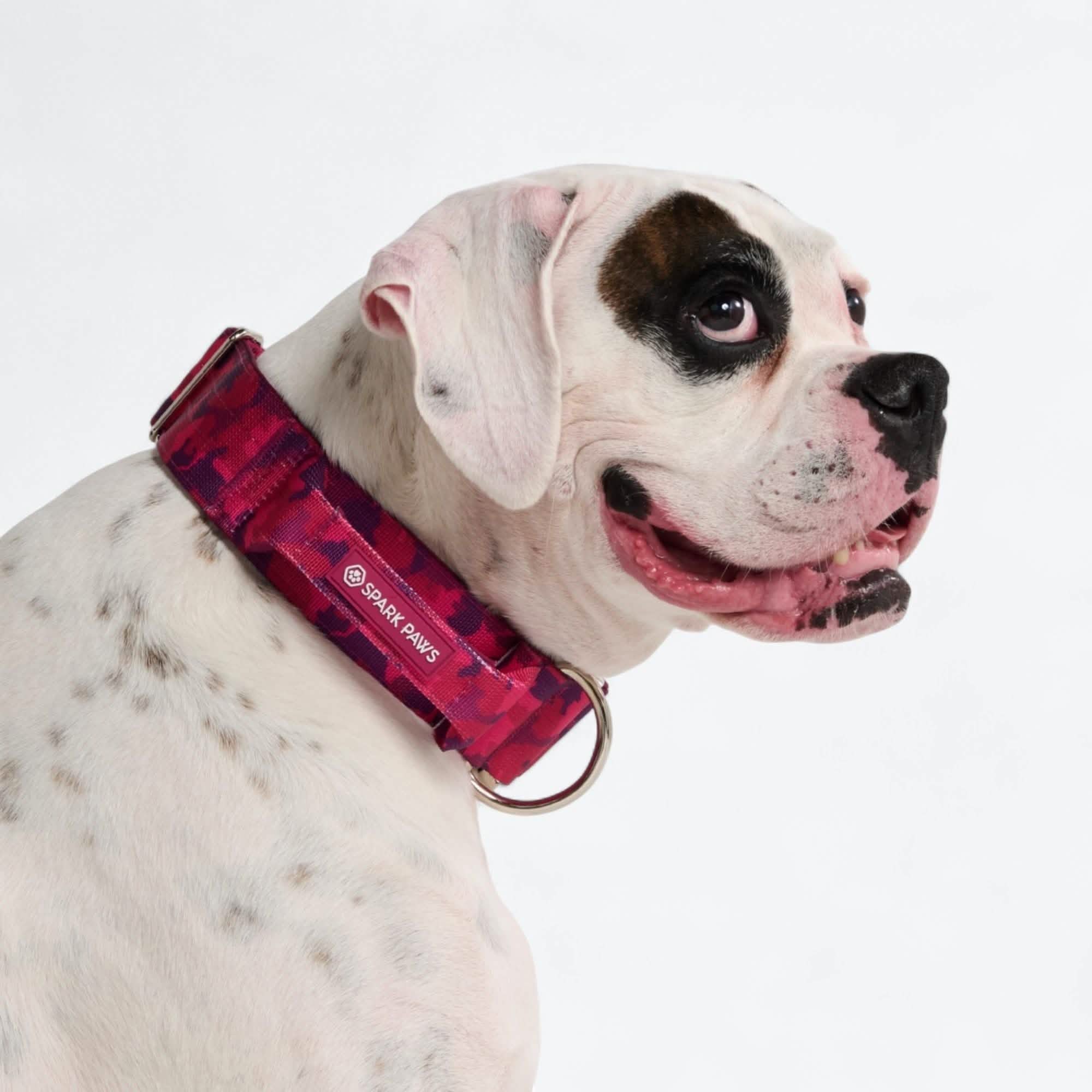 Comfort Control Collar Set - Fuchsia Camo - Image 4