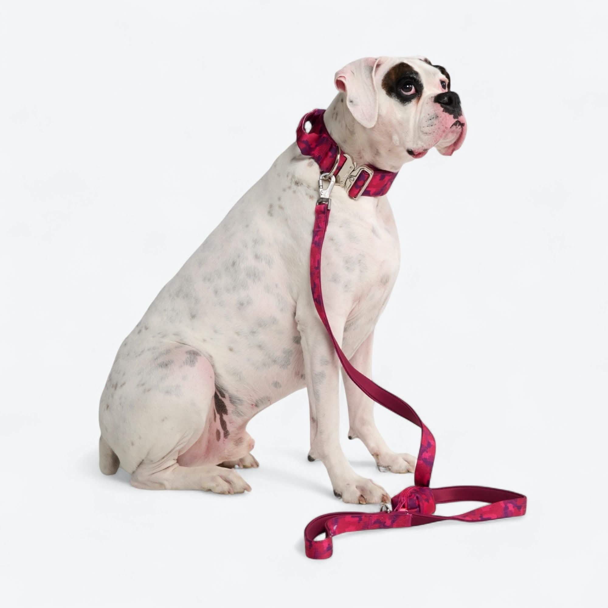 Comfort Control Collar Set - Fuchsia Camo - Image 8