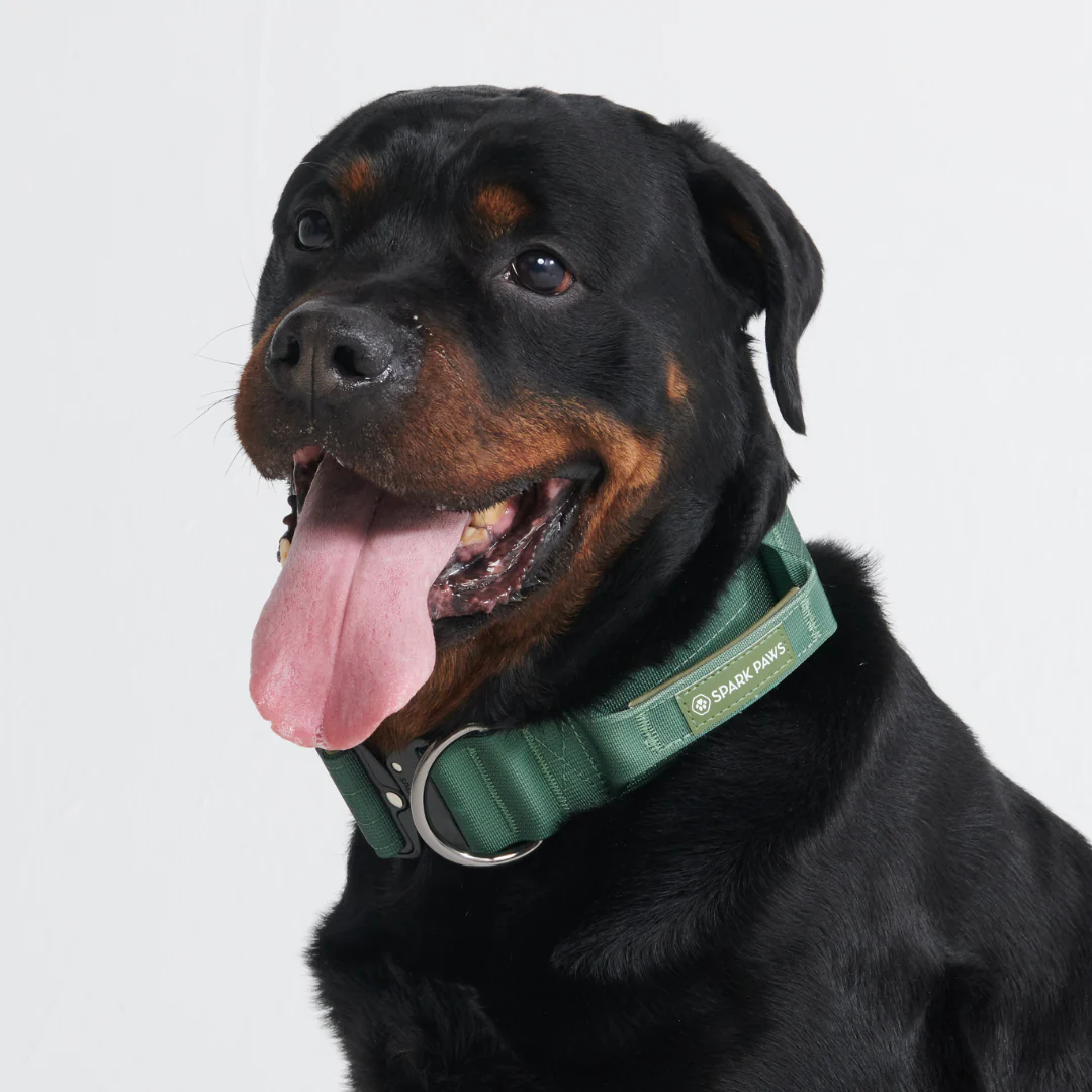 Comfort Control Collar Set - Army Green - Image 10