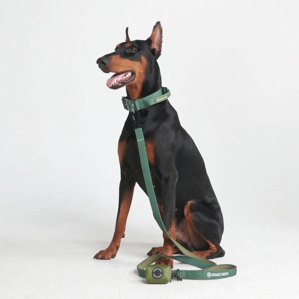 Comfort Control Collar Set - Army Green - Image 3