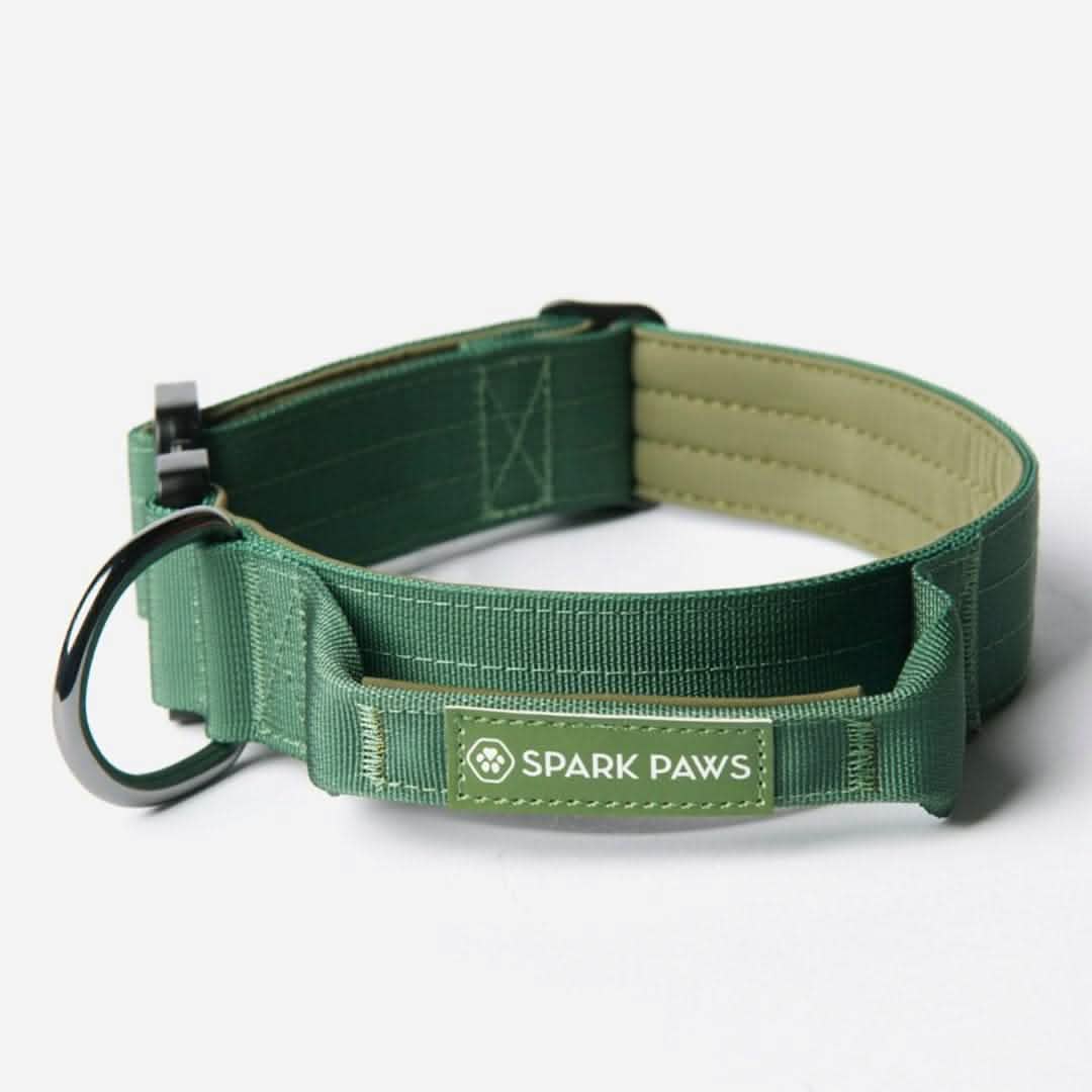 Comfort Control Collar Set - Army Green - Image 4