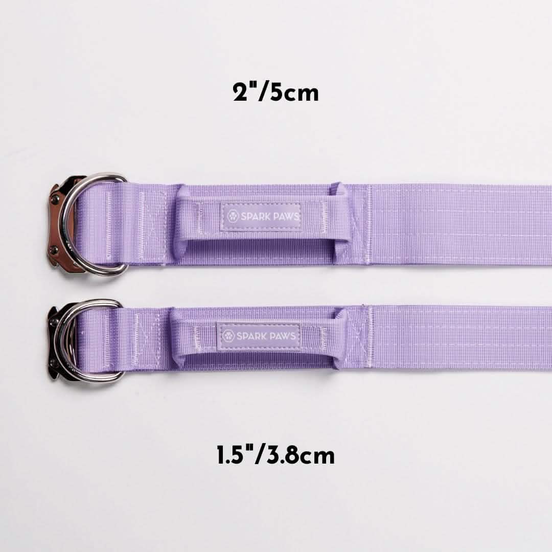 Comfort Control Collar Set - Lilac - Image 3