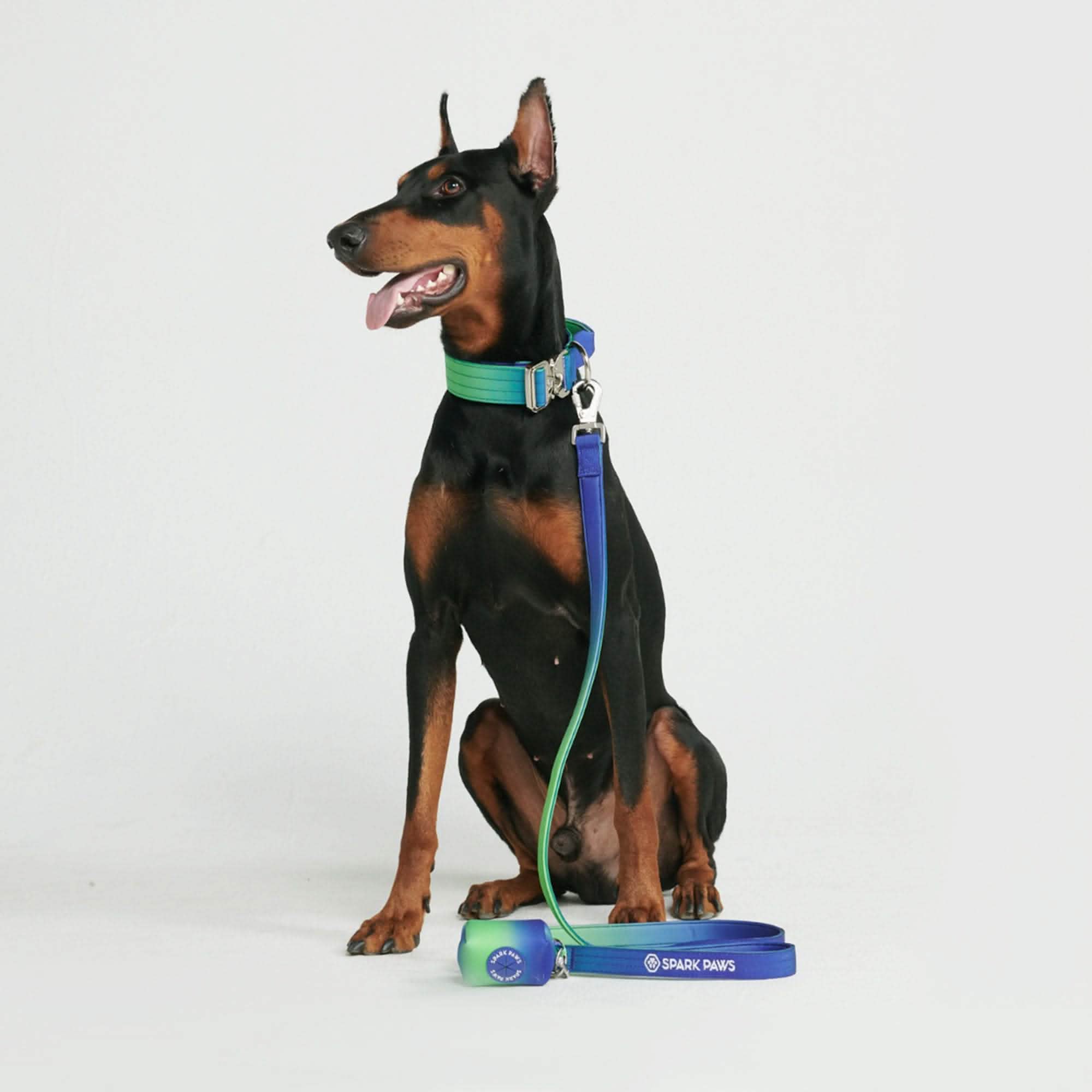 Comfort Control Collar Set - Lime Wave - Image 4
