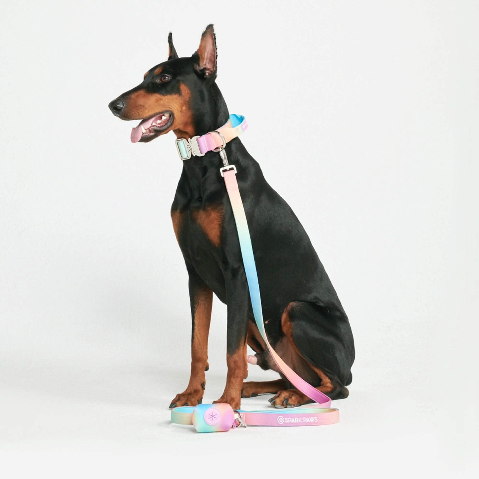 Comfort Control Collar Set - Pastel Icing - Image 3