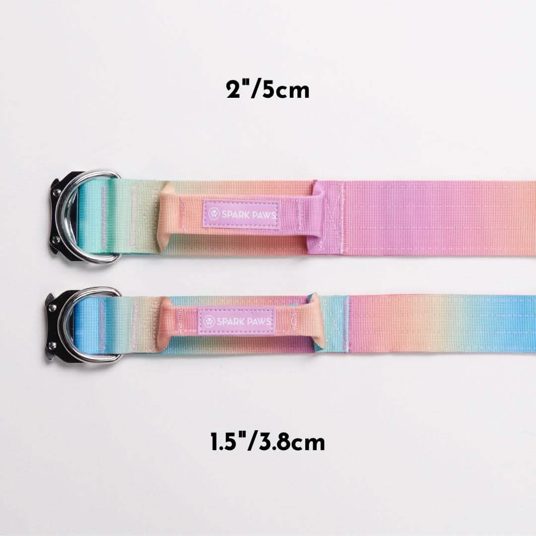 Comfort Control Collar Set - Pastel Icing - Image 5