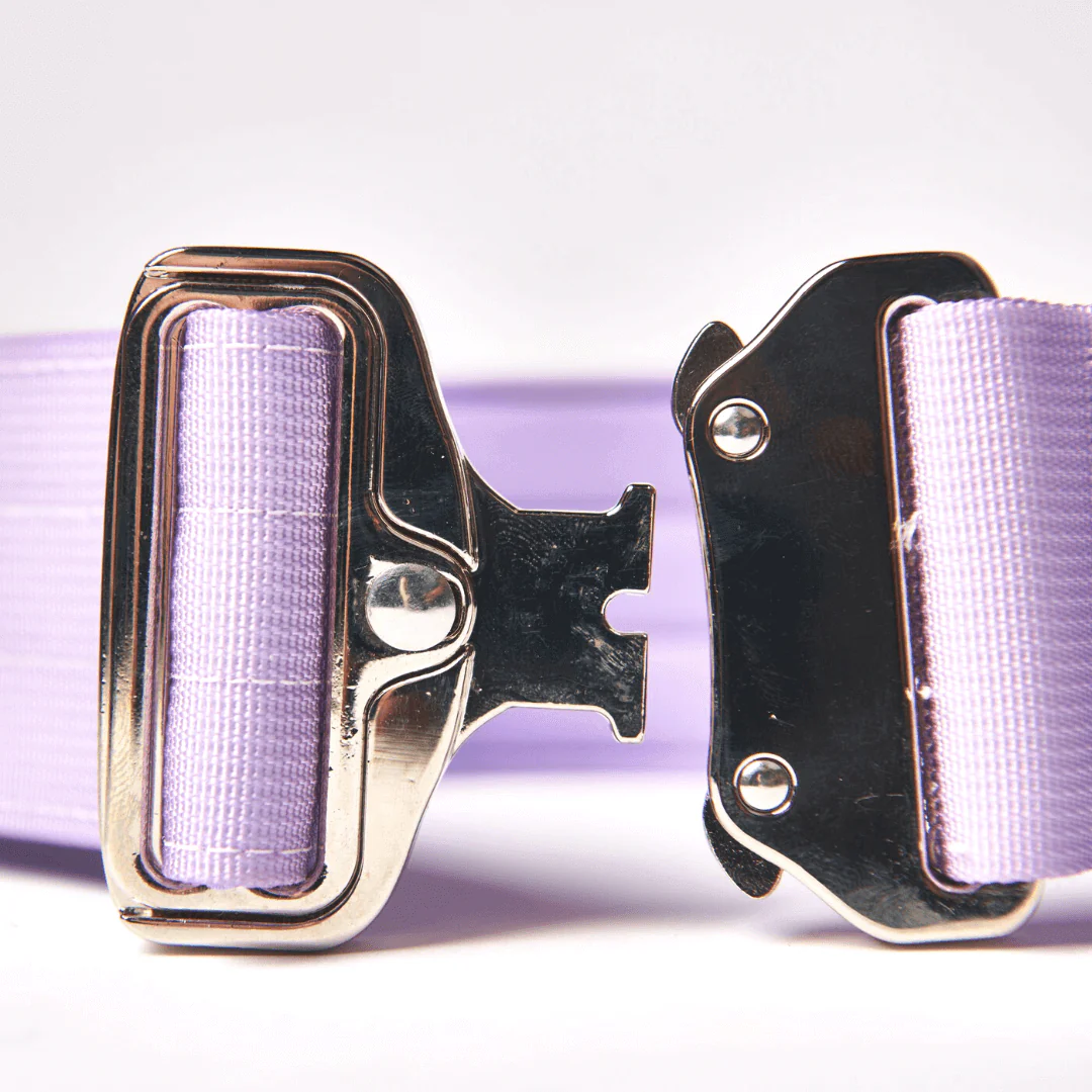 Comfort Control Collar - Lilac - Image 11