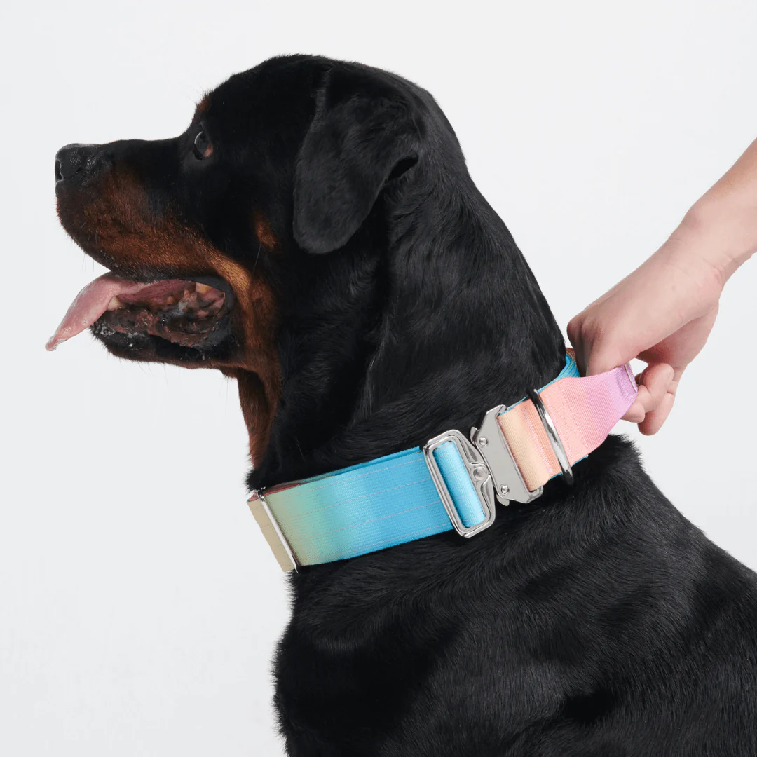 Comfort Control Dog Collars - Image 14