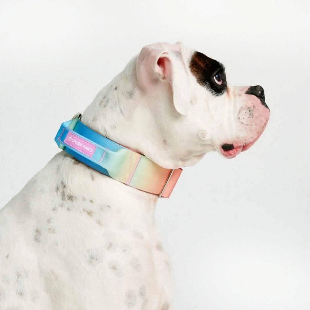 Comfort Control Dog Collars - Image 17