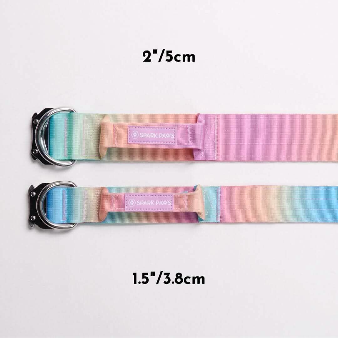 Comfort Control Dog Collars - Image 18